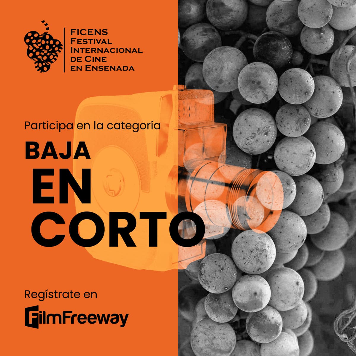 Convocatoria FICENS 2026