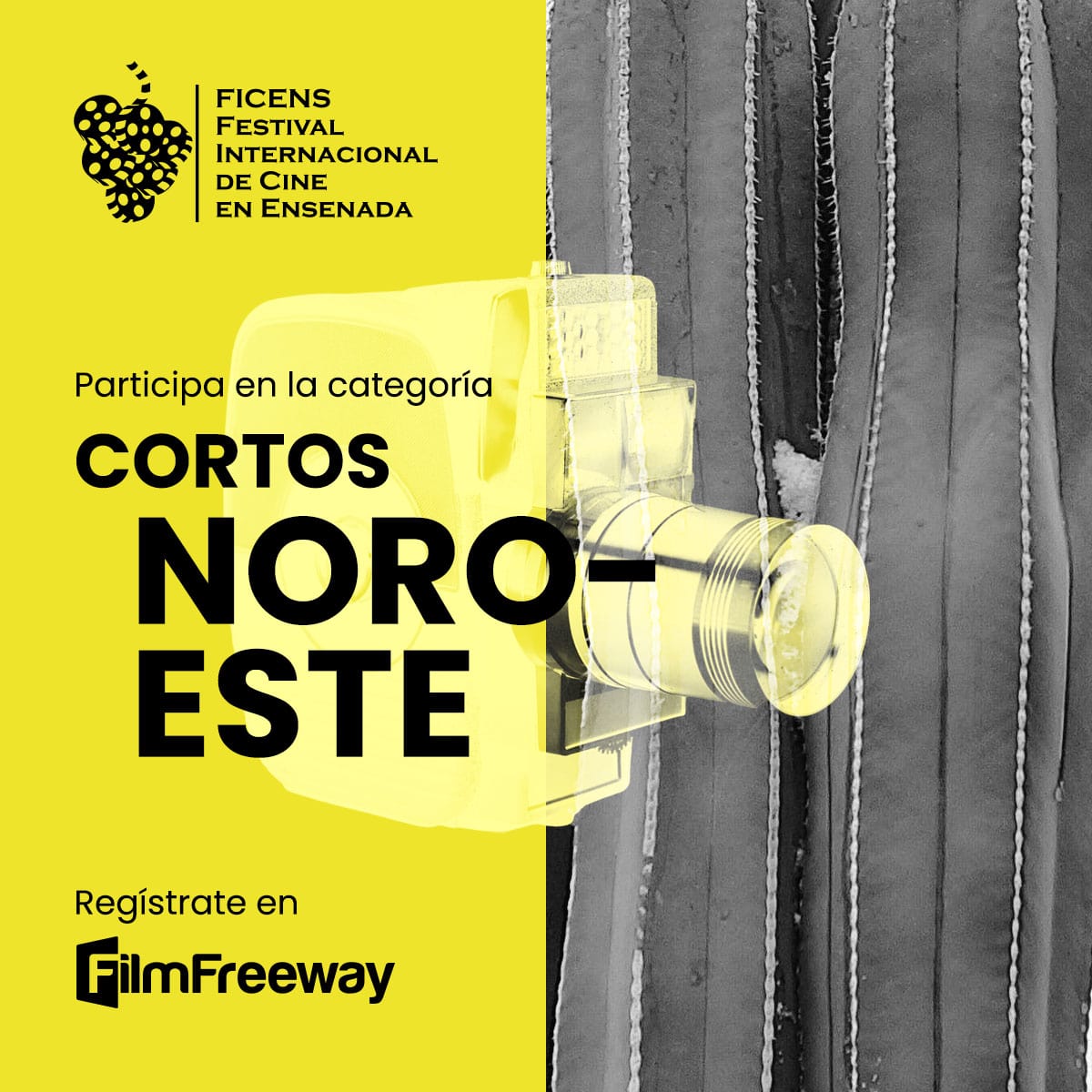 Convocatoria FICENS 2026